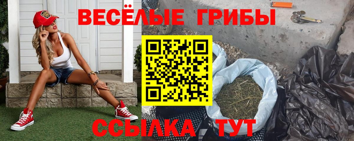 Галлюциногенные грибы Magic Shrooms  Вход с VPN  закладки  Вышний Волочёк 